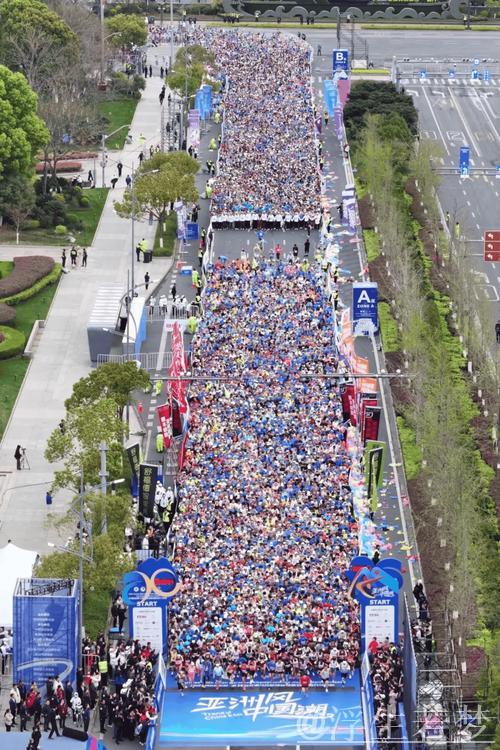 2025嘉兴跑步盛会